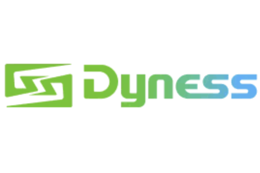 DYNESS