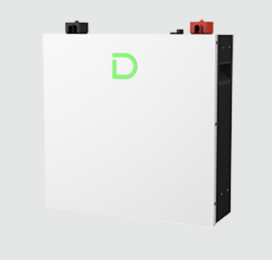 Dyness DL5.0C Pro 51.2V 100Ah (5.12kWh)