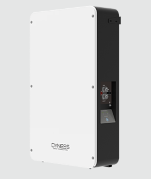 Dyness PowerBox Pro 51.2V 200Ah (10.24kWh)